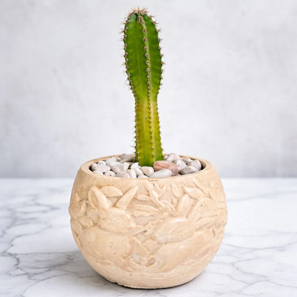 Elum (Amarillo claro)